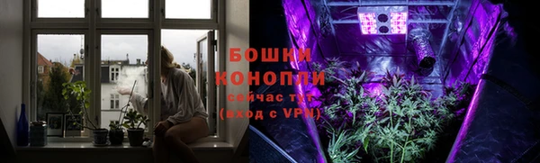 шишки Бугульма