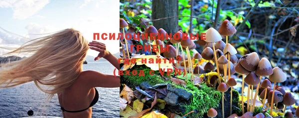 мяу мяу мука Бородино